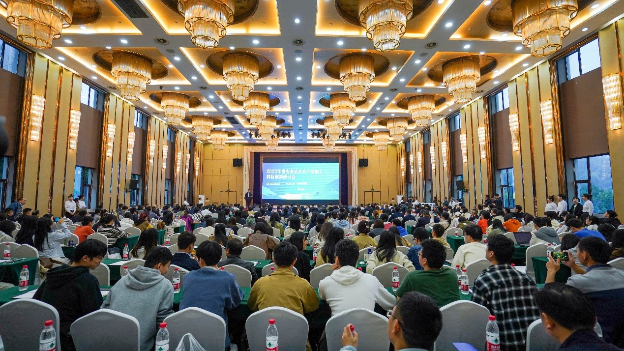 会场图片1.jpg