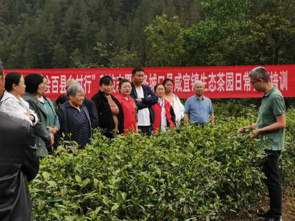 科技小院5.png