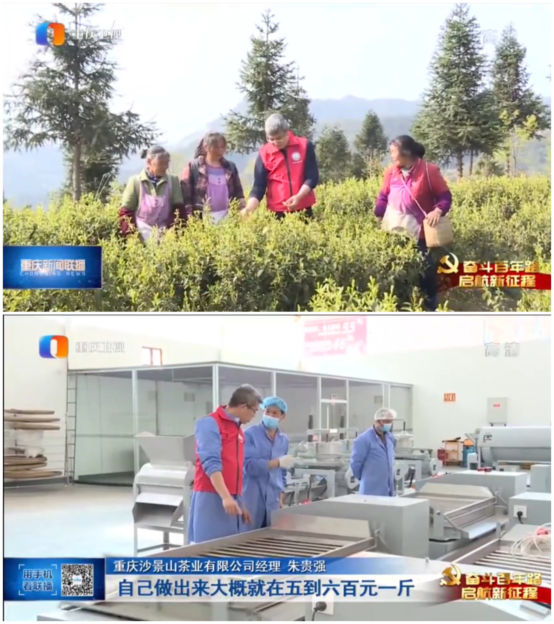 罗理勇老师在茶园和茶叶企业指导.jpg