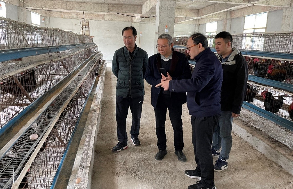 一行人考察城口山地鸡产业_副本.jpg